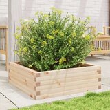  Vrtno cvetlično korito 70x70x23 cm trdna borovina | Shoptok.si