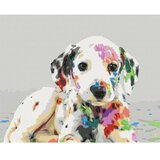  Slika za samostalno slikanje - Colourful Puppy 50x40 | shoptok.hr
