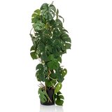 Emerald Umetna monstera 75 cm v cvetličnem loncu | Shoptok.si