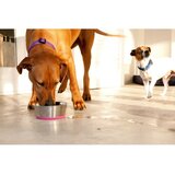 Rogz slurp metalna posuda za pse - pink | ePonuda.com