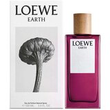 Parfem za muškarce Loewe EDP 100 ml Cijene