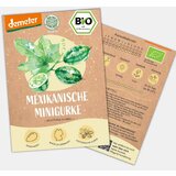 BIO mehiške mini kumarice | Shoptok.si