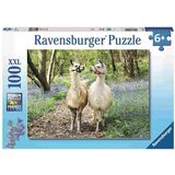 Ravensburger Zaljubljene lame RA12941-puzzle Cene