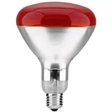 Sijalica temperaturna 150W infracrvena (kvočka) Elit