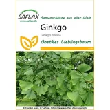 ginko