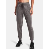 Under Armour Pants NEW FABRIC HG Armour Pant-GRY - Women