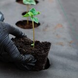  Agrotekstil protiv korova 70 gsm 1,1 x 50 m | shoptok.hr