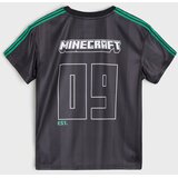 Sinsay Komplet majice kratkih rukava i kratkih hlača Minecraft | shoptok.hr