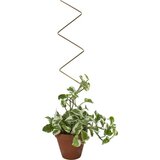 Botanopia Podpora za rastline - ZigZag Cene
