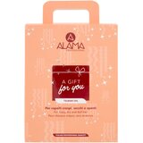 Alama professional Anti Frizz Gift Box poklon set anti-frizzy | shoptok.hr