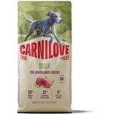Carnilove Dog True Fresh Junior Large, briketi - raca 12 kg Cene