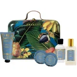 Infusão Botânica Scented Suitcase