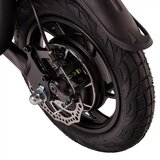  Električni skiro W-TEC 500W 12več barv | Shoptok.si
