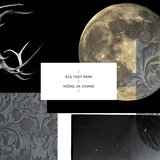 POSNETI MEDIJI BIG FOOT MAMA - VAŽNO, DA ZADANE - LP, (21009966) | Shoptok.si