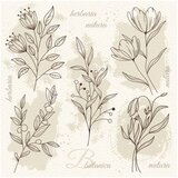 Bež cvet ilustracija Decoupage salvete | ePonuda.com