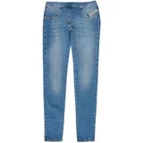prexi blue