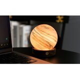 Gingko LED namizna svetilka v temni naravni barvi s steklenim senčilom (višina 9 cm) Polar Cloud – | Shoptok.si