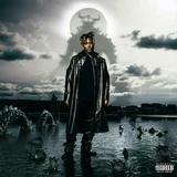 Juice Wrld - fighting demons (2 lp)