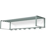 Spinder Design Zelena/siva metalna zidna vješalica s policom Rex – | shoptok.hr