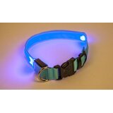  LED svetleča ovratnica za pse v izbrani velikosti | Shoptok.si