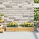  Kutije za cvijeće za euro palete 12 kom sive 36x13,5x9,5 cm PP | shoptok.hr