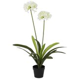 Ambia Home UMETNA RASTLINA 80/105 cm Cene
