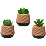  Umjetna biljka u tegli sukulent | shoptok.hr
