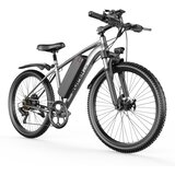 TOOFLY Električno kolo G73 250 W, 26”, 48 V 13 Ah, odstranljiva baterija, siva, (5000255636) | Shoptok.si