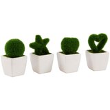  Dekorativno žbunje u raznim oblicima | ePonuda.com