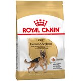 Royal Canin German Shepherd Adult - Varčno pakiranje: 2 x 11 kg | shoptok.hr