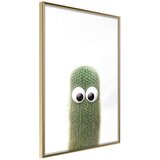  Poster - Funny Cactus IV 40x60 | shoptok.hr