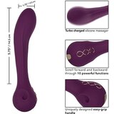 California Exotic Novelties Vibrator Obsession Passion (R14835) | Shoptok.si