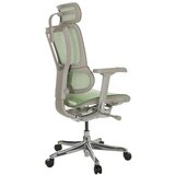 MID.YOU Pisarniški Stol Ergohuman Slim I G, Zelena | Shoptok.si