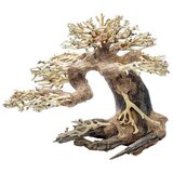 Akvarijum Centar Bonsai drvo za akvarijum - 35 x 25 | ePonuda.com