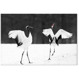  Slika - Dancing Cranes (1 Part) Wide 30x20 Akustična | shoptok.hr