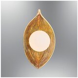 Opviq zidna lampa Pearl 2724-01-03, 1 × G9, žuta | Eponuda.com