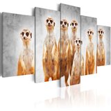  Slika - Meerkats 100x50 | shoptok.hr