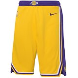 Nike Los Angeles Lakers Icon Swingman otroške kratke hlače Cene