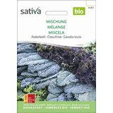 Ohrovt / mešanica ohrovta | Shoptok.si