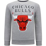 Local Fanatic Puloverji 146207335 Siva | Shoptok.si