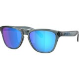 Oakley Frogskins S OO9508 950805 Polarized ONE SIZE (53) Siva/Modra | Shoptok.si