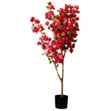 stablo buganvilije crveno 125 cm 957486