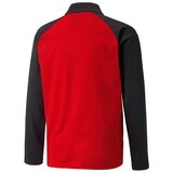 Puma Puloverji Teamliga Poly pisana | Shoptok.si