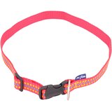 Pet Line Ogrlica za pse, 25mm, 35-57cm, Crvena Cene
