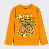 Sinsay Majica dugih rukava Teenage Mutant Ninja Turtles | shoptok.hr