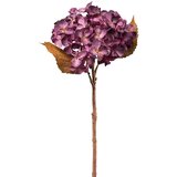 Mömax Kunstpflanze Hortensie I Lila | Shoptok.si