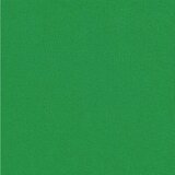  Presvlaka za jastuk 6 pcs HEERLEN Zelena 40 x 70 cm Poliester | shoptok.hr