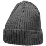 4f CAM009 Siva | shoptok.hr