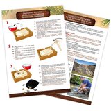 BUKI set za izkopavanje gold prospector | Shoptok.si