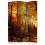  Paravan u 3 dijela - Autumn Illumination [Room Dividers] 135x172 Cijene